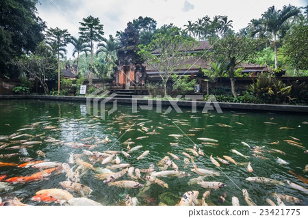 Tirta Empul Holy Water in Bali Indonesia 23421775