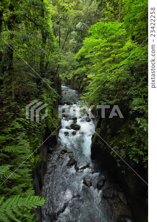 Kirishima Shinsui Gorge Kirishima Shinsui Gorge 23422258