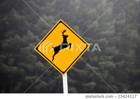Attention to animals 23424117