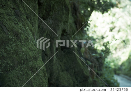 Kirigaya削減 23425766