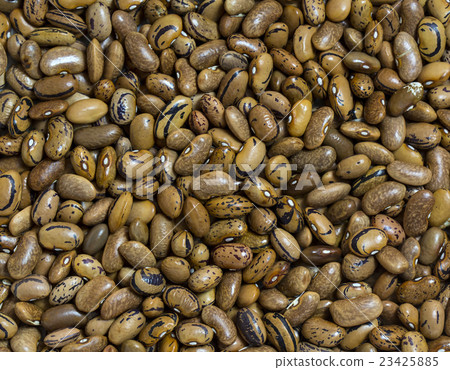 background bean seeds background bean seeds 23425885