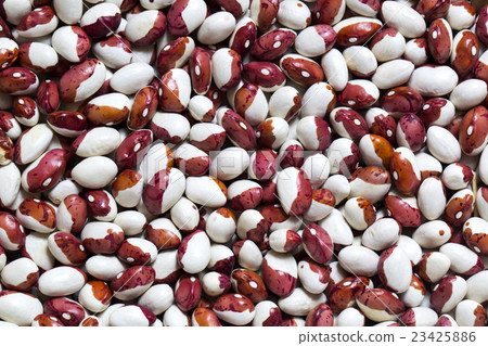 background bean seeds background bean seeds 23425886