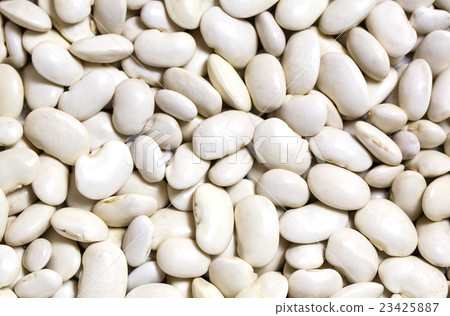 background bean seeds background bean seeds 23425887