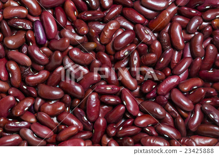 background bean seeds background bean seeds 23425888
