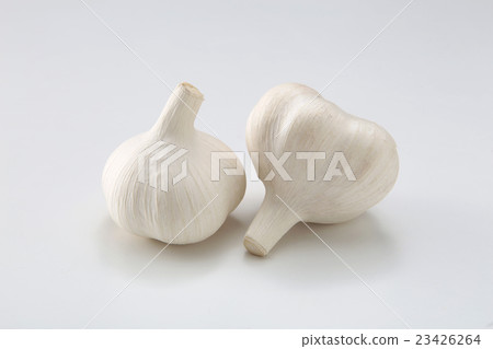 Vegetable food Garlic sauce Spices ingredients Vegetable food Garlic sauce Spices ingredients 23426264