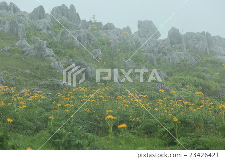 Shikoku Karst Honkou 23426421