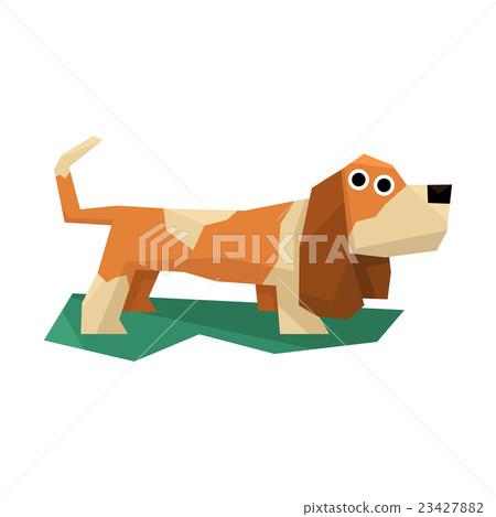 Basset Hound Dog 23427882