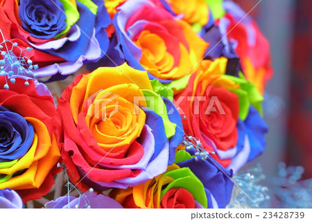 彩虹玫瑰 彩虹玫瑰 23428739