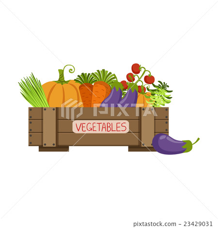 Full Crate Of Fresh Vegetables 23429031