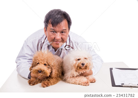 Friendly vet doctor hugging two cute dogs Friendly vet doctor hugging two cute dogs 23431782