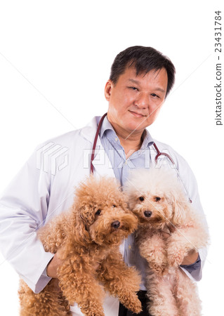 Friendly vet doctor hugging two cute dogs 23431784