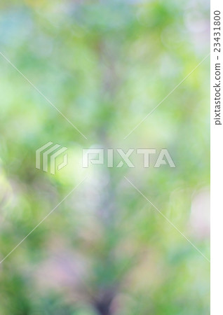 Green abstract forest nature blur background. Green abstract forest nature blur background. 23431800