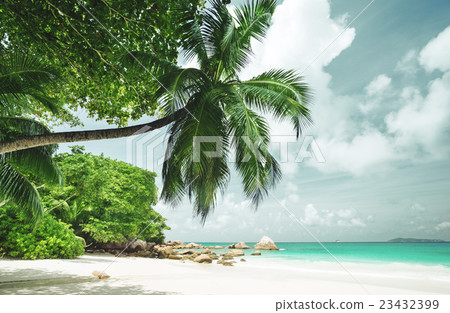 tropical Seychelles beach tropical Seychelles beach 23432399