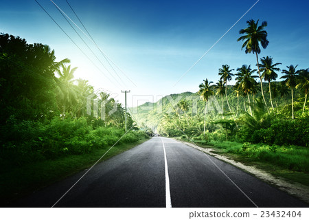 empty road in jungle of Seychelles islands 23432404