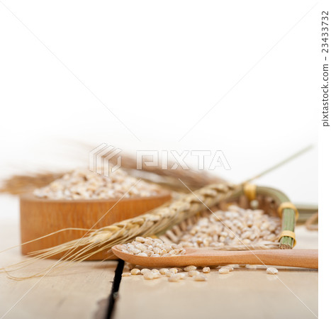 organic wheat grains 23433732
