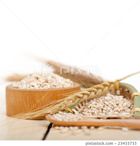 organic wheat grains organic wheat grains 23433733