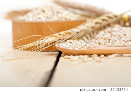 organic wheat grains organic wheat grains 23433734