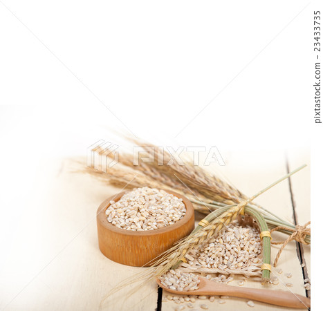 organic wheat grains organic wheat grains 23433735