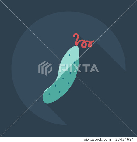 Flat modern design with shadow icons cucumber 23434684