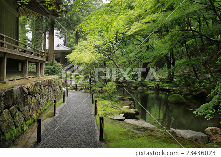 Entrance of early summer Entrance of early summer 23436073