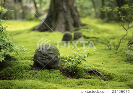 Warabe Jizo 23436075