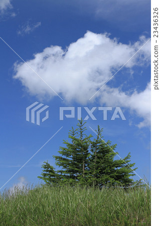 Refreshing Utsukushigahara Summer Plateau Refreshing Utsukushigahara Summer Plateau 23436326