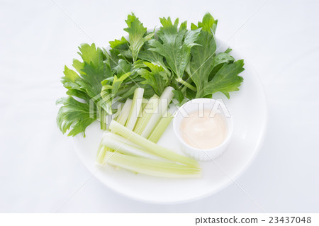 celery  23437048