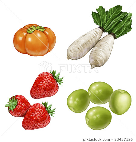 Healthy fruits and vegetables 23437186