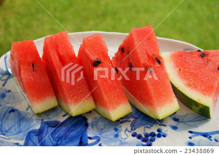 西瓜 西瓜 23438869