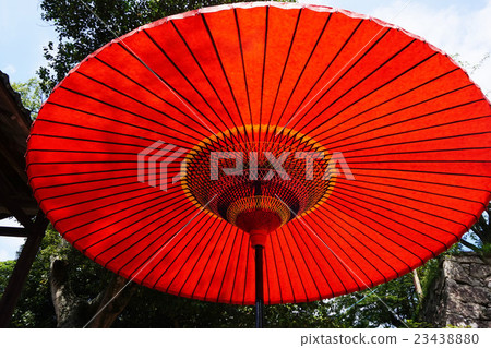 Umbrella 23438880