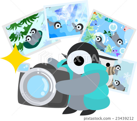 A cute baby penguin with a figure of a photographer A cute baby penguin with a figure of a photographer 23439212