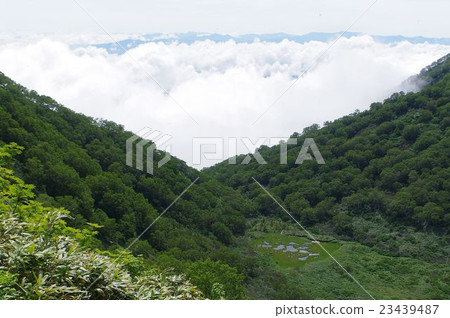 Mt. Myoko·Nagasuke Pond Mt. Myoko·Nagasuke Pond 23439487