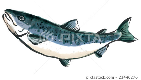 三文魚  23440270