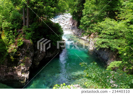 阿吉河谷的狗從狗身上回來 阿吉河谷的狗從狗身上回來 23440310