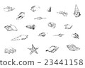 Seashell pen illustration 23441158