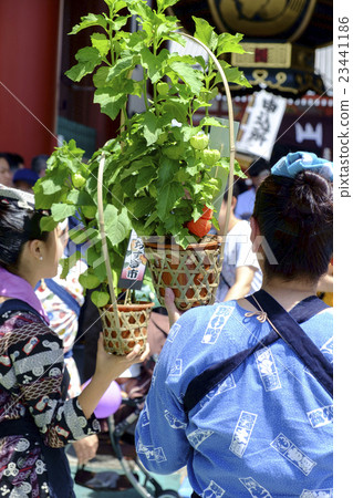 Hozuki Hokkaido Onigumi食人魔 23441186