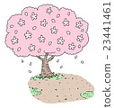 櫻桃樹 23441461