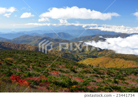 Zao Yunai Zao Yunai 23441734