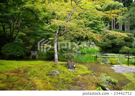 Yen outpatient garden 23442752