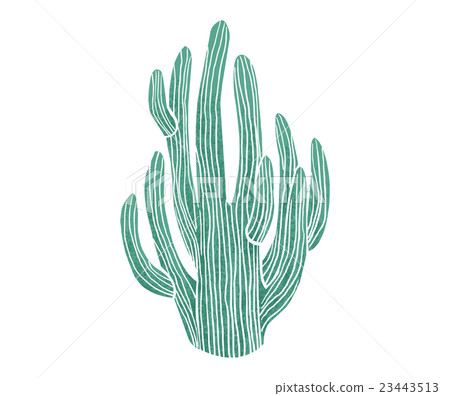Cactus 23443513