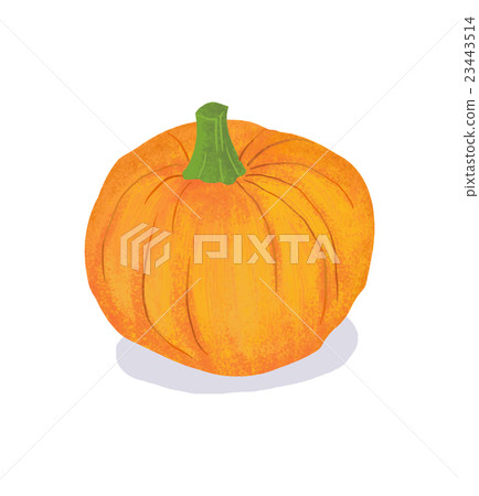 pumpkin 23443514