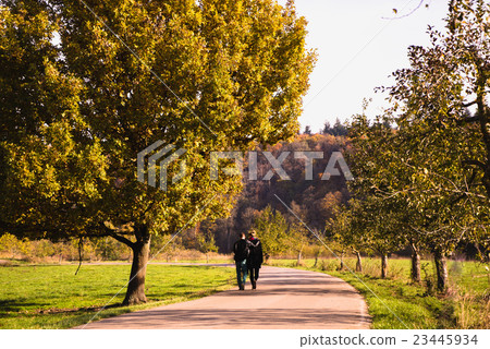 Lovers walking in autumn park Lovers walking in autumn park 23445934