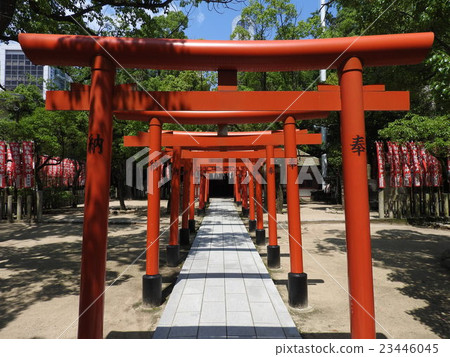 "Kinzamoto Inari shrine" in the precincts of Kobe, "Minatogawa Shrine" "Kinzamoto Inari shrine" in the precincts of Kobe, "Minatogawa Shrine" 23446045