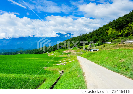 初夏的鄉村景觀(98) 初夏的鄉村景觀(98) 23446416
