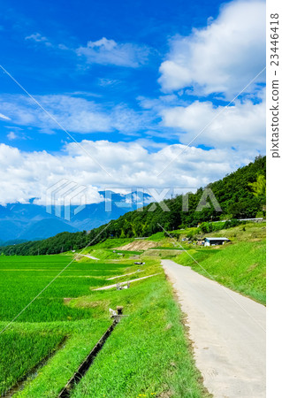 初夏的鄉村景觀(99) 初夏的鄉村景觀(99) 23446418