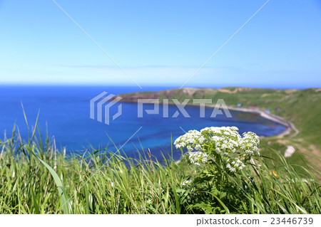 Rebun Island Hokkaido 23446739