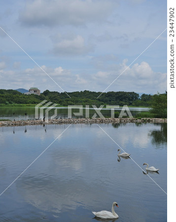 Koyoike Park·伊丹 Koyoike Park·伊丹 23447902