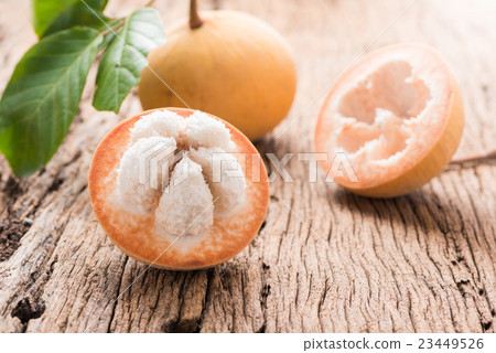 santol fruit santol fruit 23449526