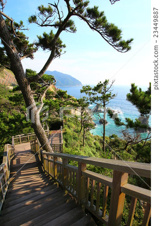 Konagisaki海岸風景 23449887