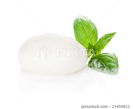 Mozzarella cheese and basil 23450621